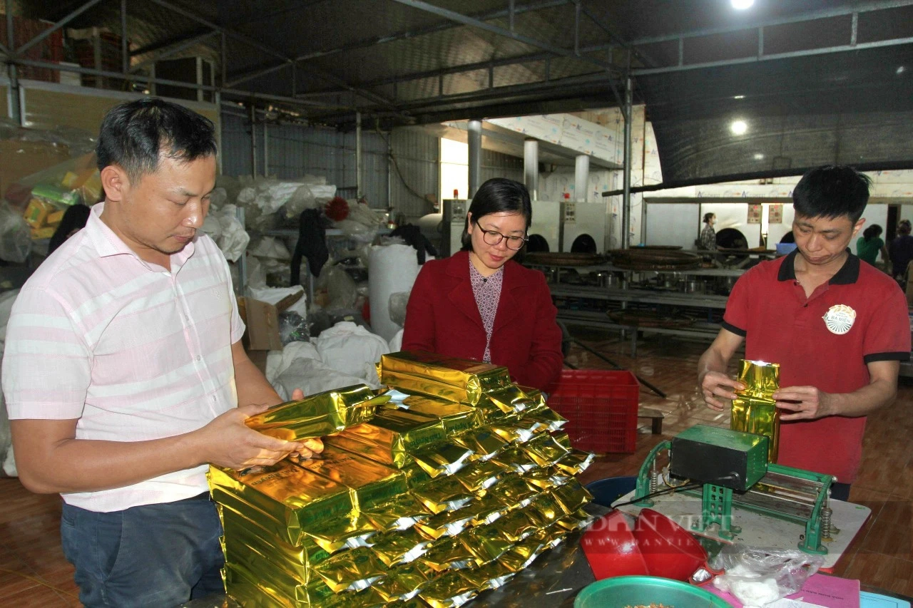 Những nông dân, hợp tác xã tiên phong sản xuất nông nghiệp tuần hoàn ở Thái Nguyên